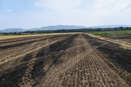 Ogled pogorišča Kerinov Grm 